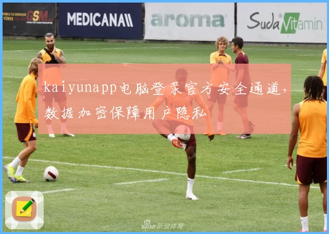 kaiyunapp电脑登录官方安全通道，数据加密保障用户隐私