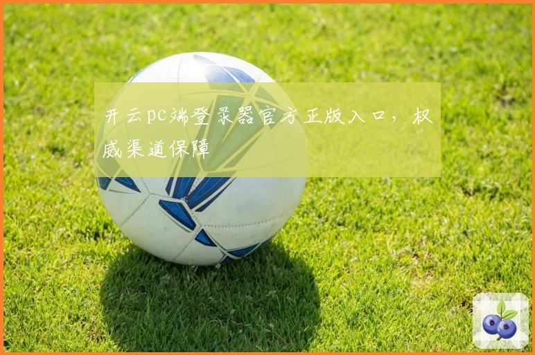 开云pc端登录器官方正版入口，权威渠道保障