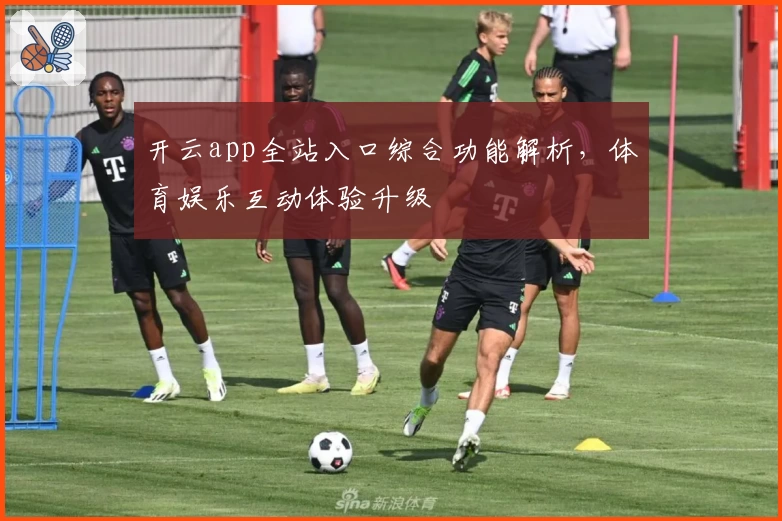 开云app全站入口综合功能解析，体育娱乐互动体验升级