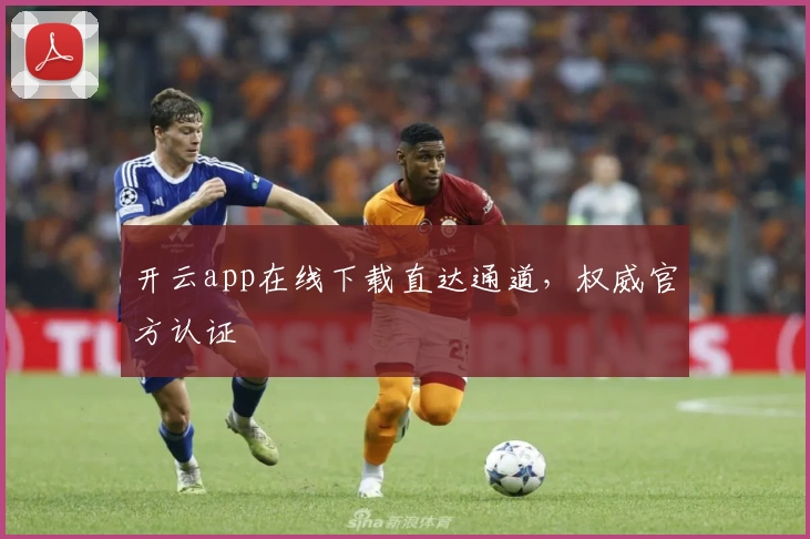 开云app在线下载直达通道，权威官方认证